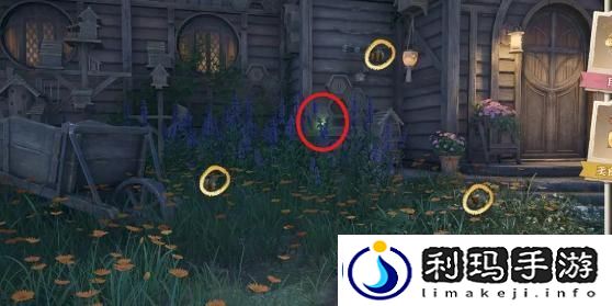 无限暖暖照片调查任务怎么做-照片调查任务攻略