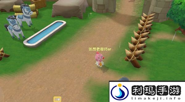 摩尔庄园查看墙上的密码表位置介绍