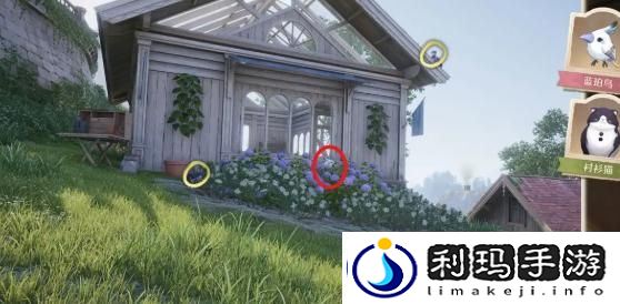 无限暖暖照片调查任务怎么做-照片调查任务攻略
