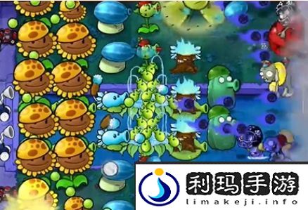 植物大战僵尸杂交版冒险第20关通关攻略-植物大战僵尸杂交版冒险第20关如何通过