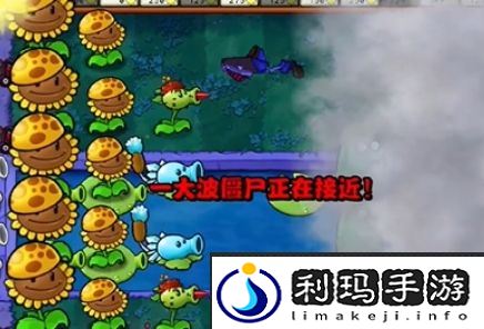 植物大战僵尸杂交版冒险第20关通关攻略-植物大战僵尸杂交版冒险第20关如何通过