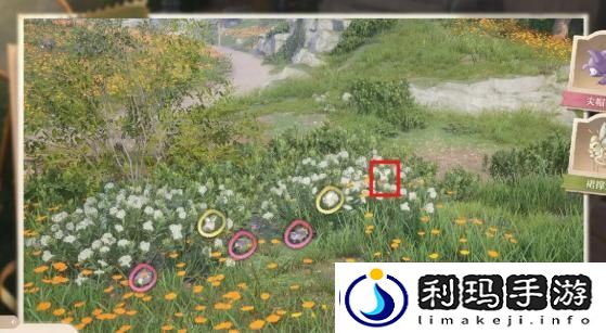 无限暖暖照片调查任务怎么做-照片调查任务攻略