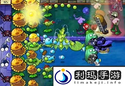 植物大战僵尸杂交版冒险第20关通关攻略-植物大战僵尸杂交版冒险第20关如何通过