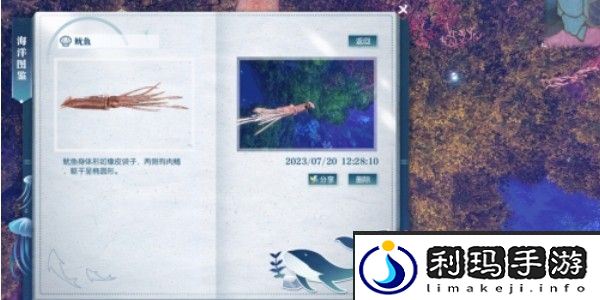 逆水寒手游鱿鱼在哪