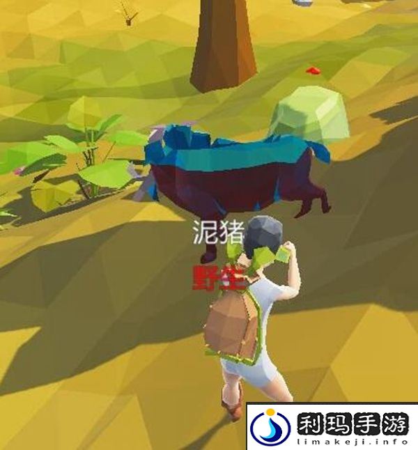 艾兰岛出生岛动物介绍