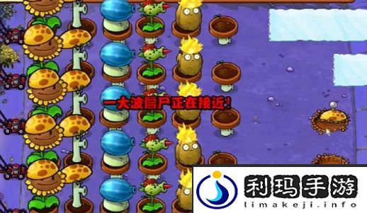 植物大战僵尸杂交版冒险第10关通关攻略-植物大战僵尸杂交版冒险第10关如何通过