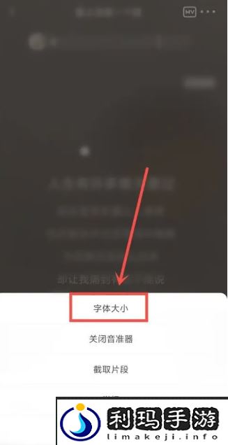 《全民k歌》字幕调整方法
