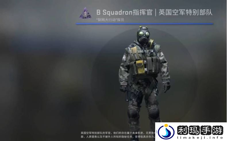 csgo苍蝇头是哪个探员-浅蓝网