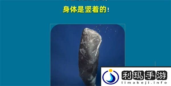 淘宝每日一猜4.11答案