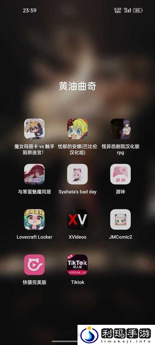 -免费夜里十大禁用APP软件：保护你的个人隐私与安全