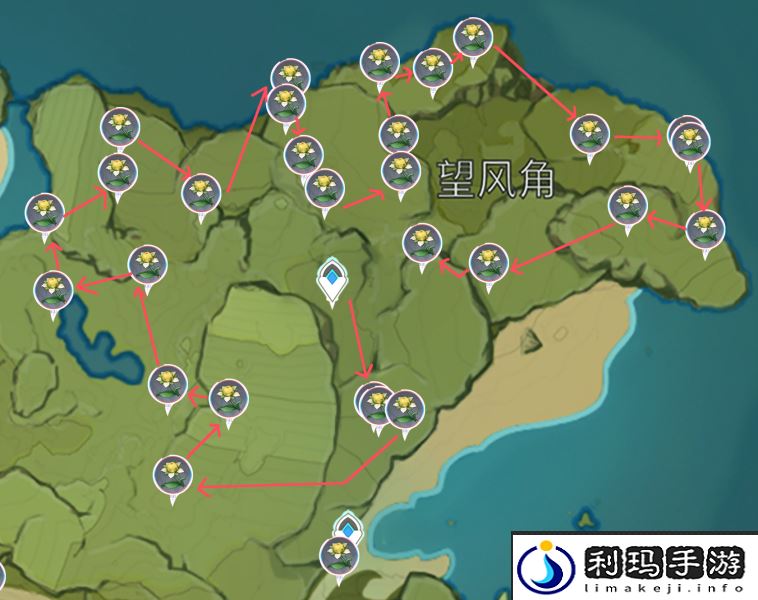 原神甜甜花分布最多位置