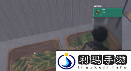 《七日世界》甜菜获取方法
