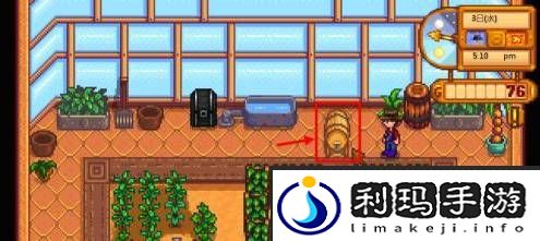 星露谷物语淡啤酒酿造方法