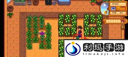 星露谷物语淡啤酒酿造方法
