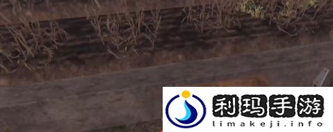 《七日世界》甜菜获取方法