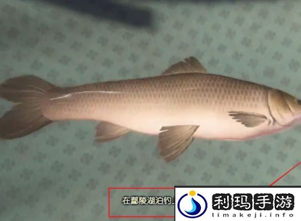 《古剑奇谭3》钓青鱼位置介绍